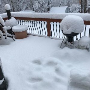 Meet your Posher, Wanda